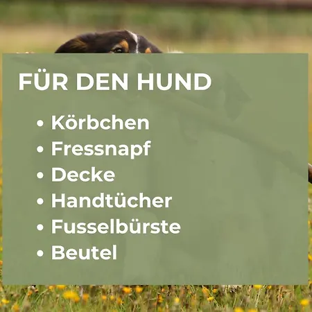 Bergzeit | Sauna Alpirsbach