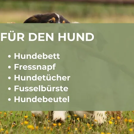 Bergzeit | Sauna *